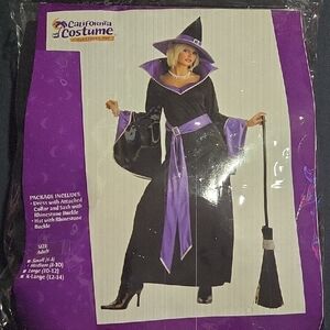 California Costumes Kids' Enchanted Sorceress Outfit